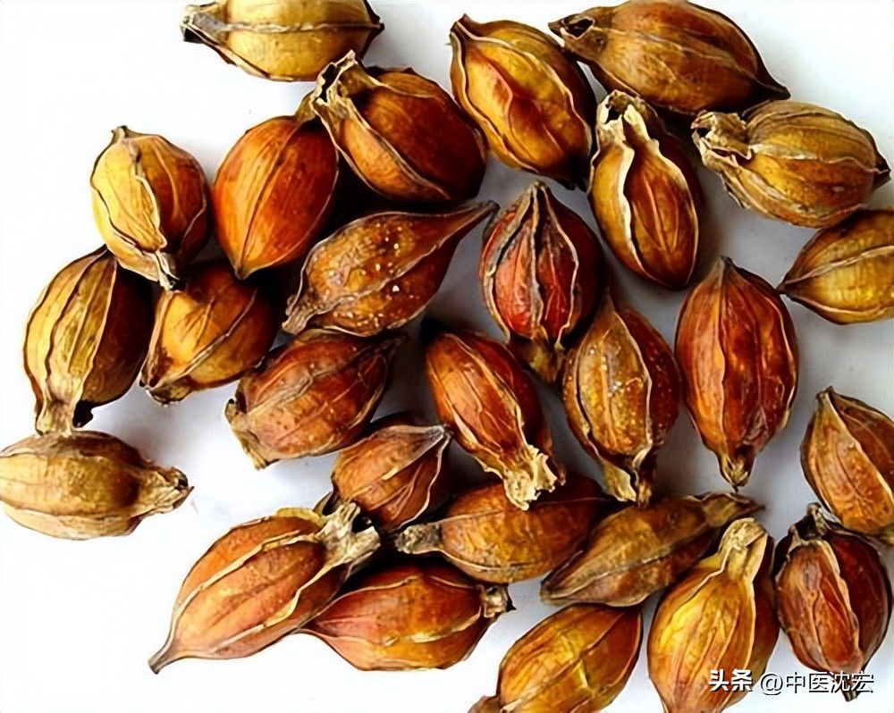 一味药去肝火护脾胃,清肝利胆疏肝理气用什么中成药