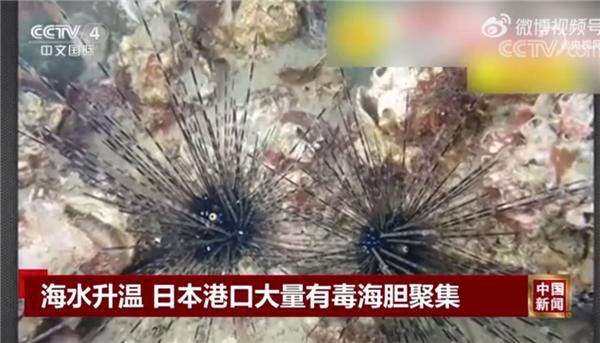 地震频发为何日本发生7.4级大地震,日本地震会引发大地震吗