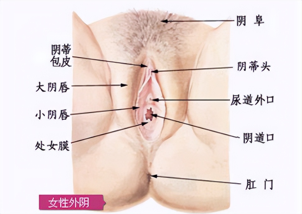女生频繁“用手”危害大？如果不戒掉，这五个后果会来临