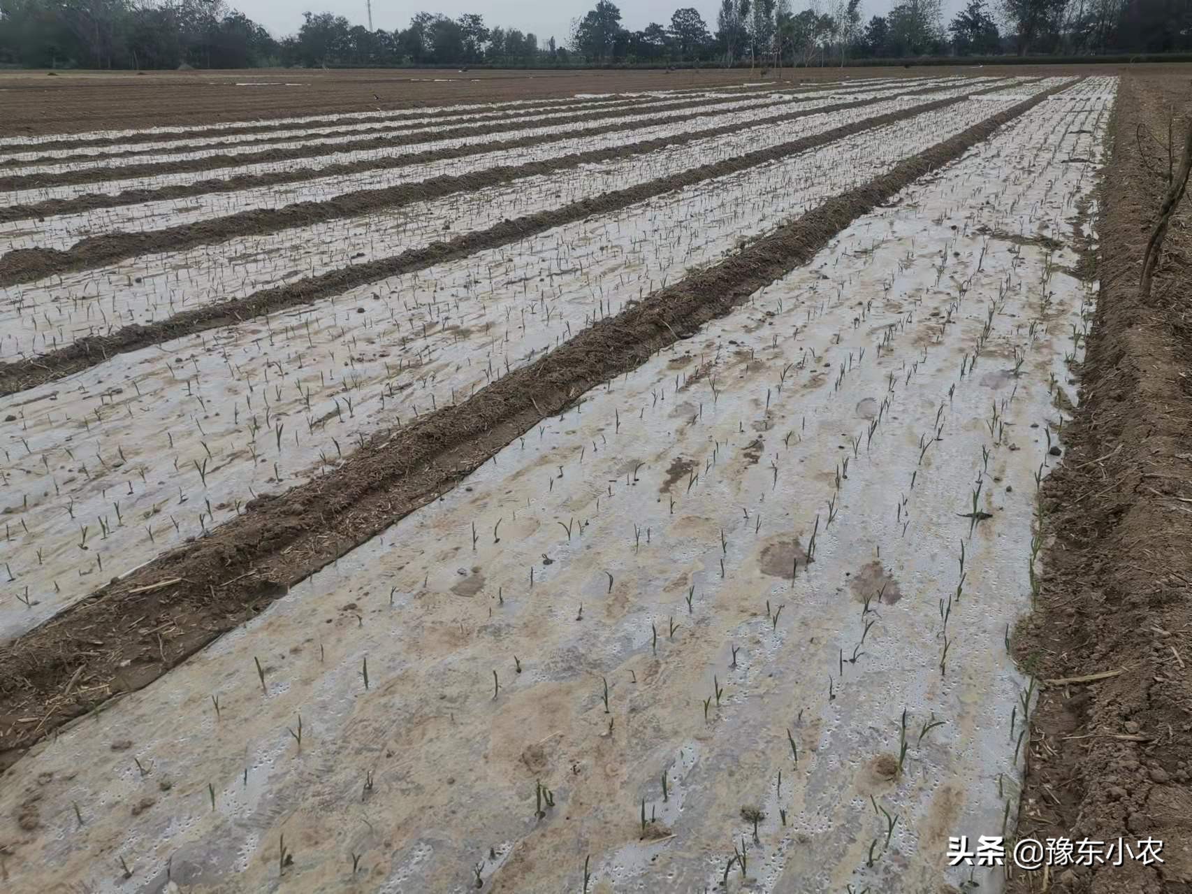 农民种地靠什么赚钱,农民种地靠什么挣钱