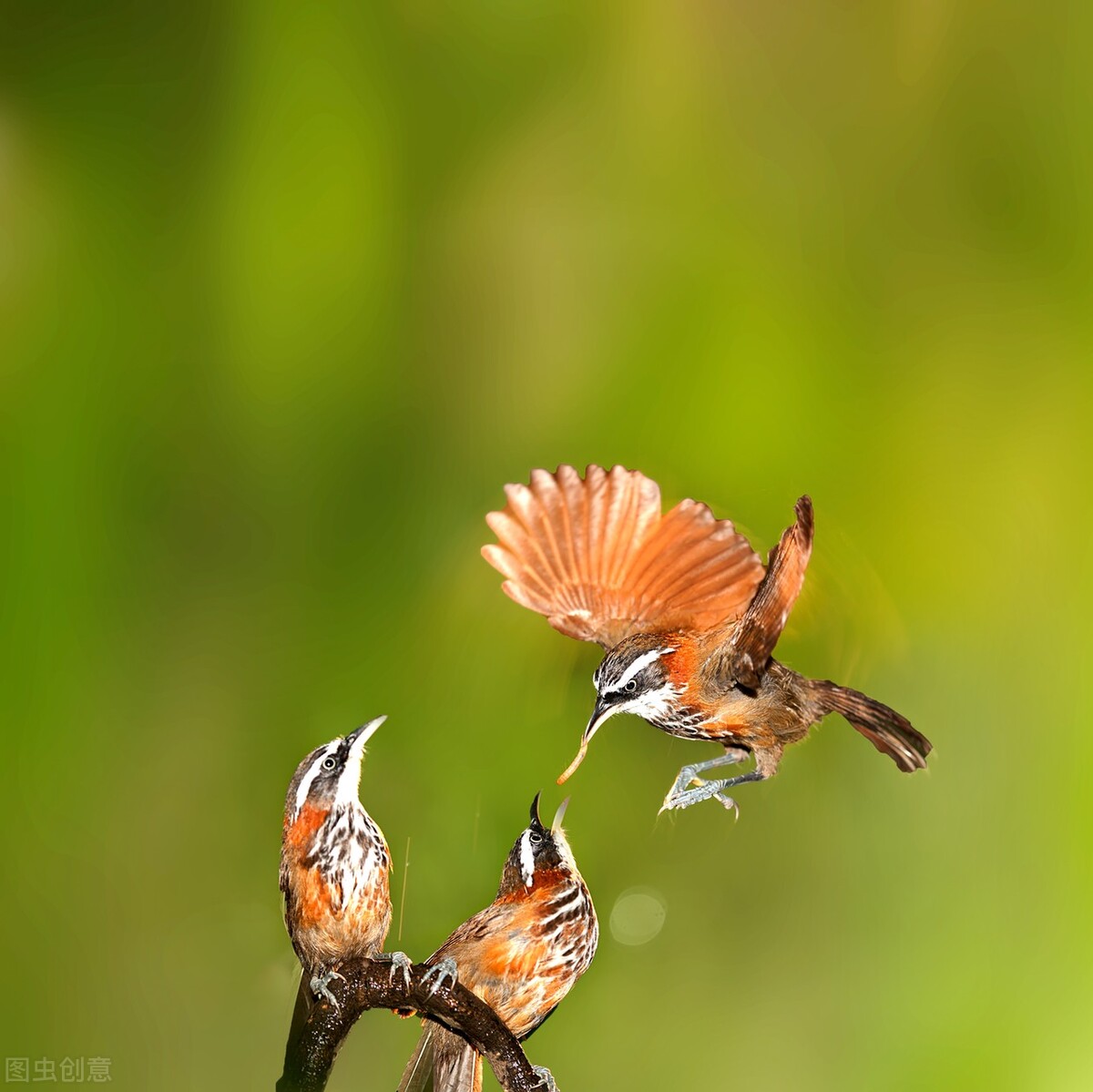 相机怎么调拍照好看详细教程,如何快速学会相机拍照