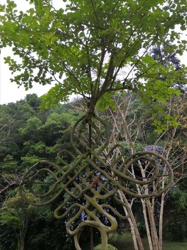 福建省福州市几个区,中国34个省级行政区域教学视频