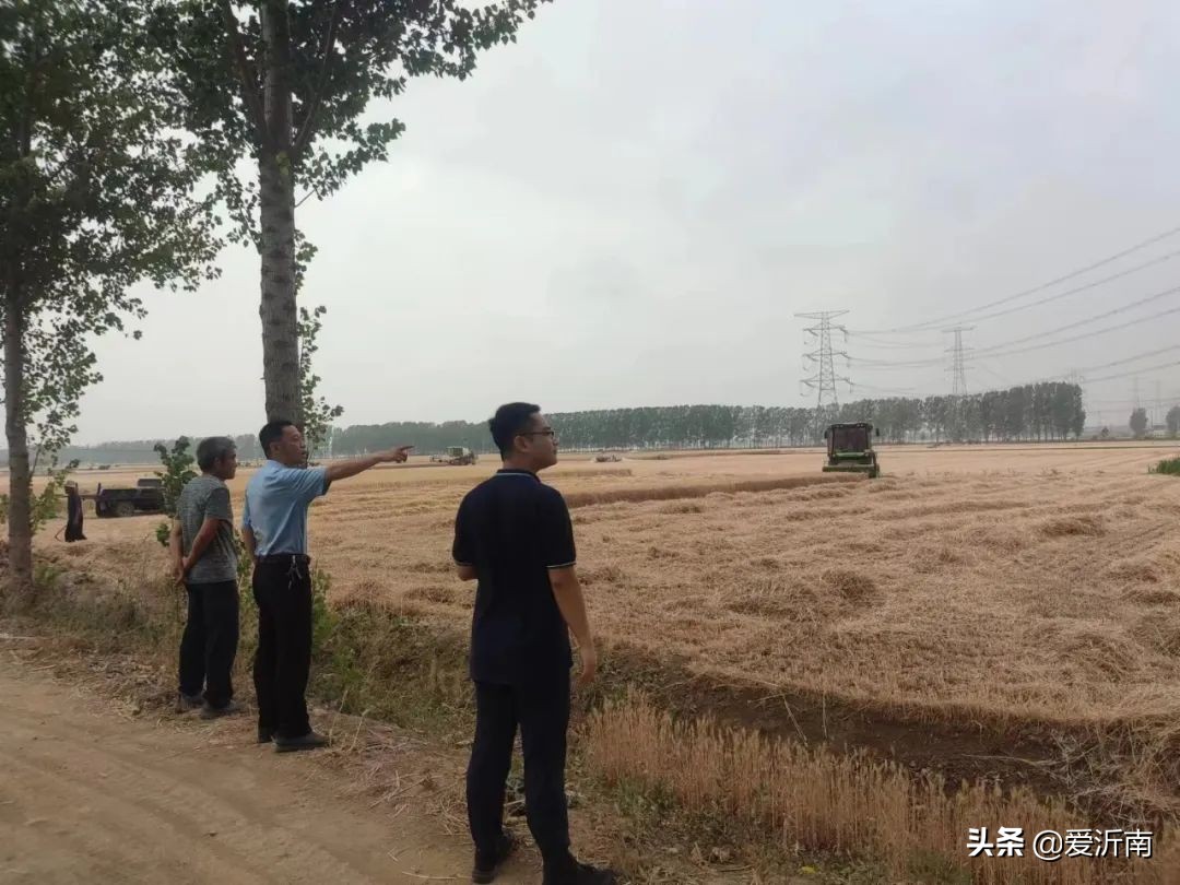 沂南铜井新闻最新消息,沂南张庄新闻最新消息