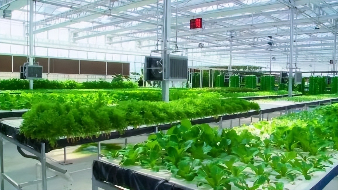 什么是现代农业什么是有机农业,现代农业与农村的区别