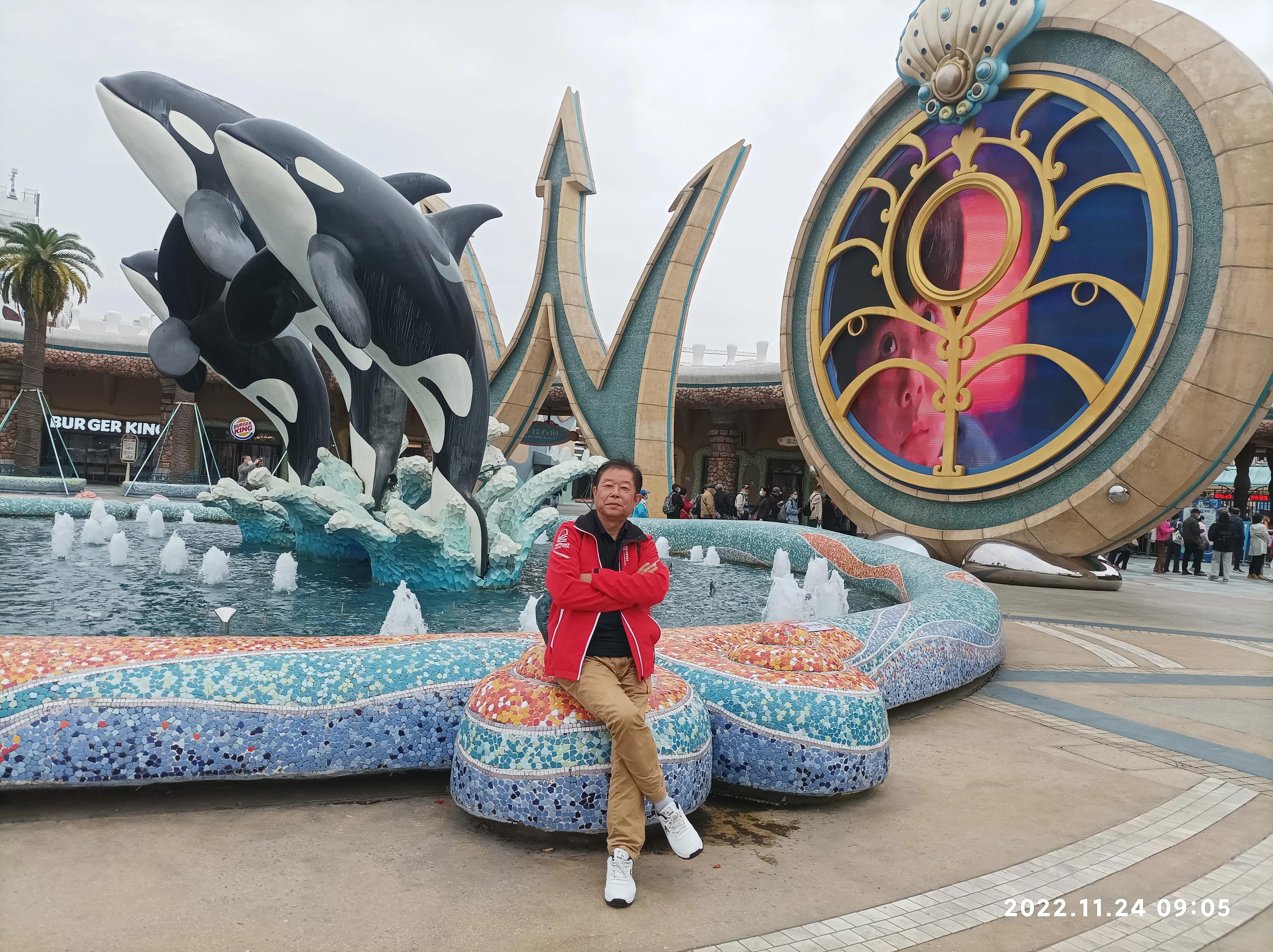 上海海昌海洋公园一日游vlog,上海海昌海洋公园一日游攻略虎鲸