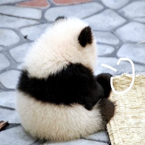 超低价多地飞三亚机票0.5折起,上海飞三亚为什么那么便宜