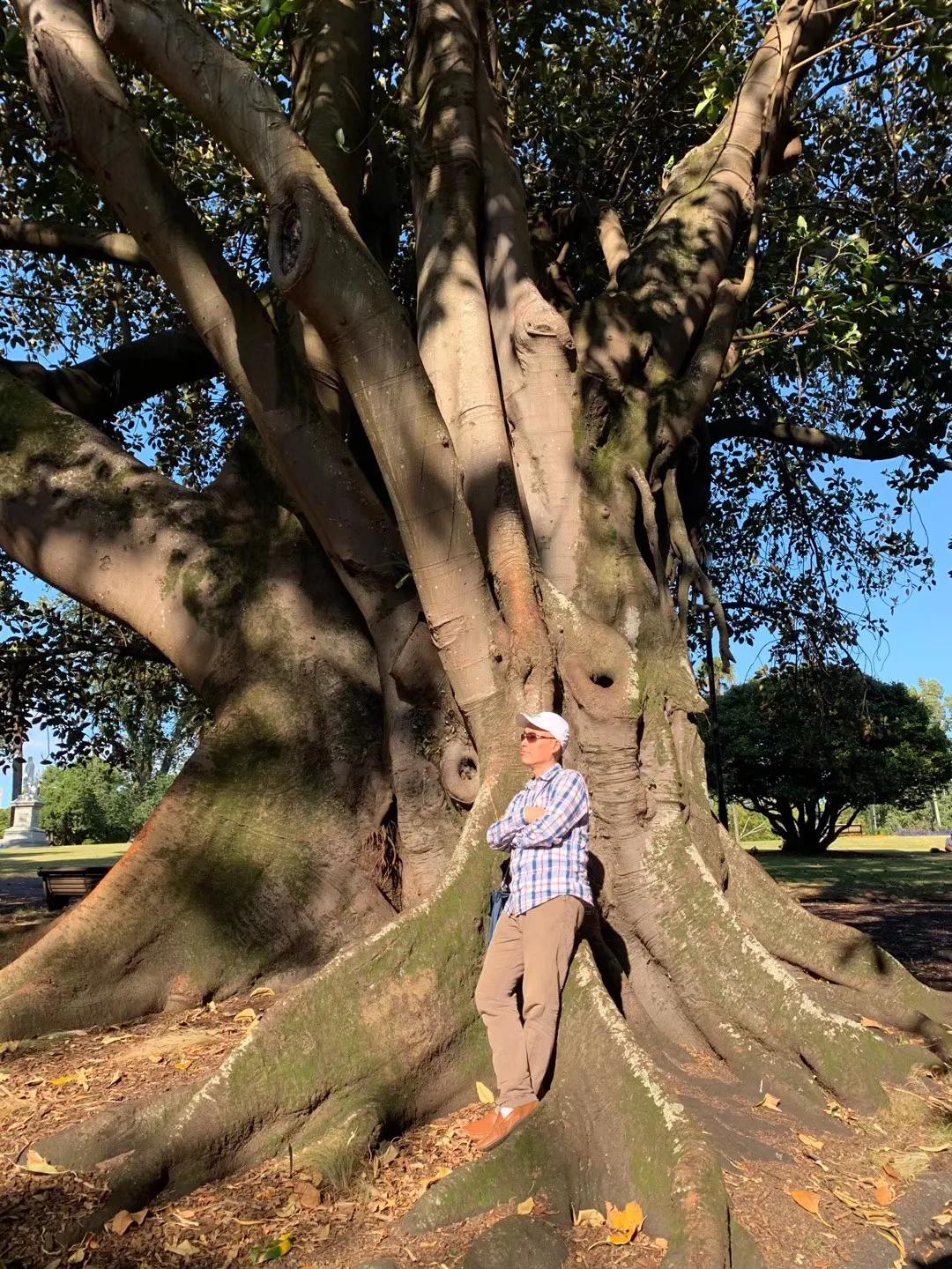奥克兰自驾新西兰,新西兰奥克兰自驾风景