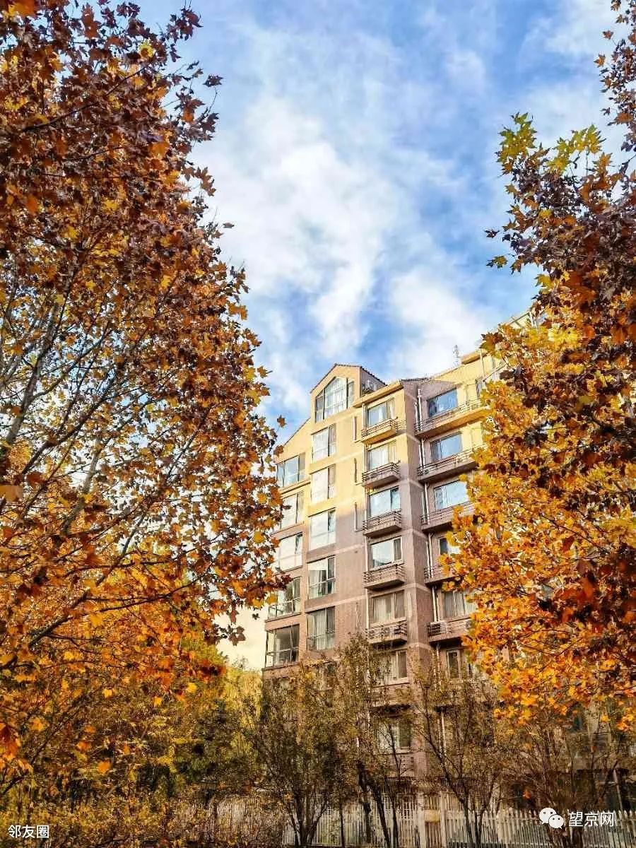 没想到小区的夜景如此美丽,望京环境好的小区