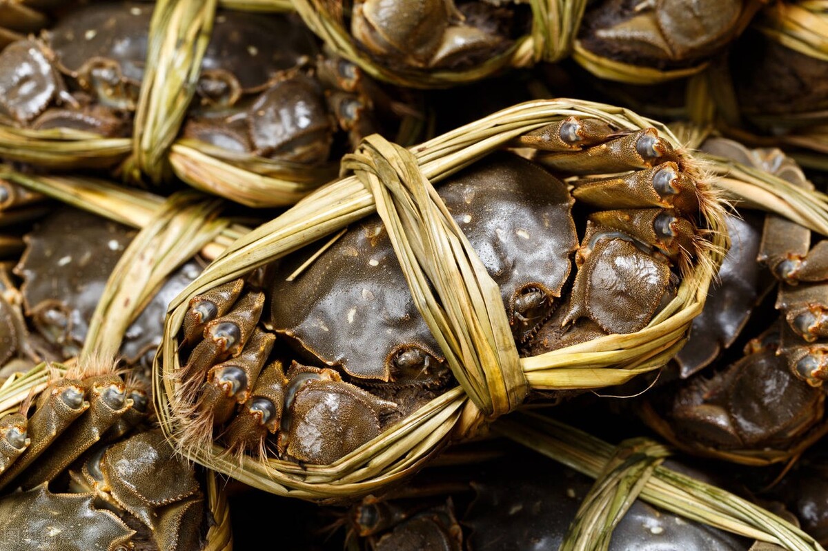 螃蟹包装好能带上高铁吗,螃蟹如何能带上动车