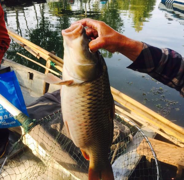 济宁名吃是夹饼还是甏肉干饭,济宁甏肉干饭糁汤