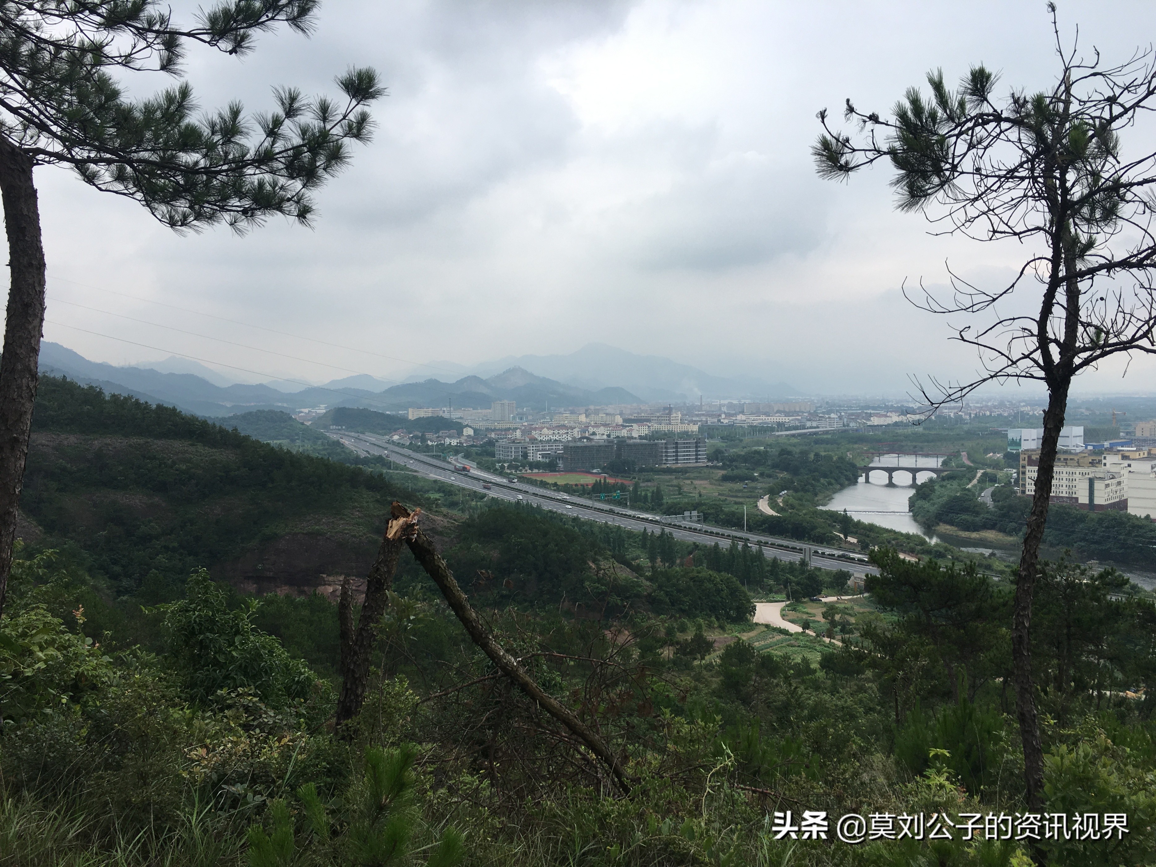 做大做强地方产业,要做大做强再创辉煌