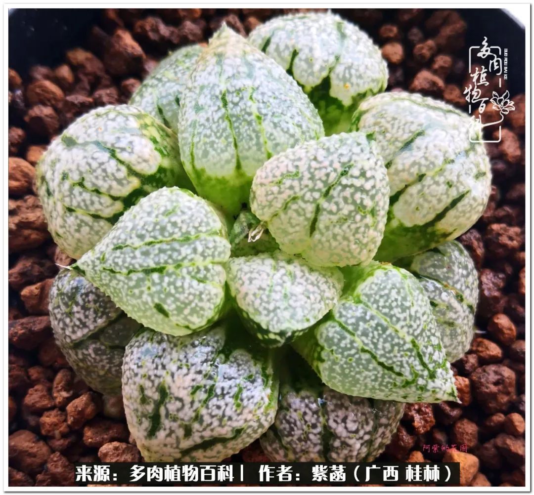 酷暑里的关爱，如十二卷般透亮绵长