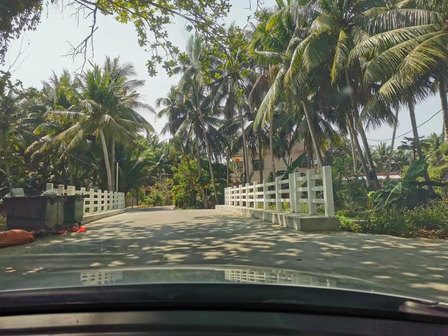 文昌椰林在哪里,文昌椰林靠海吗