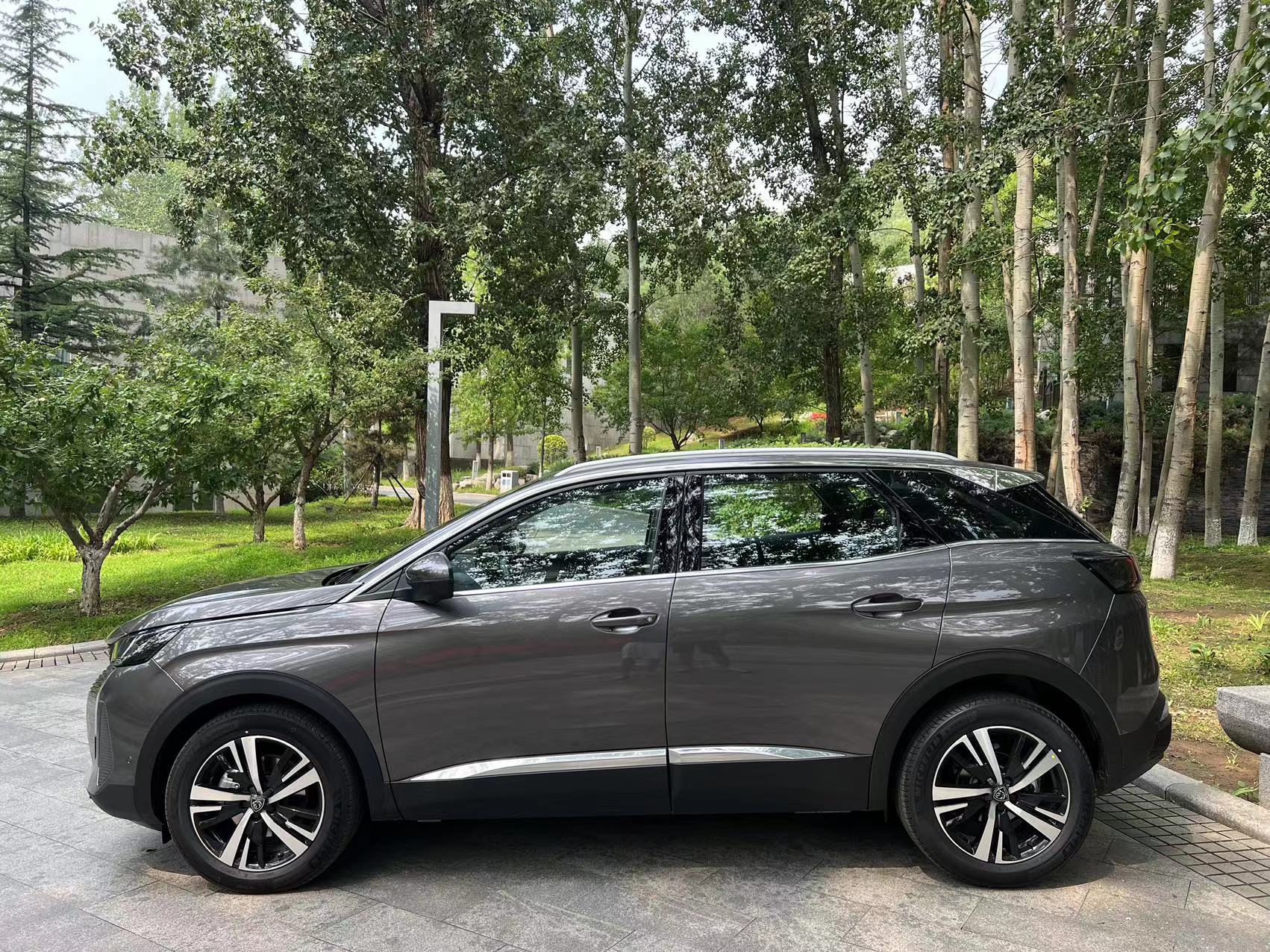 盾牌黑底狮子的车标,盾牌狮身车标