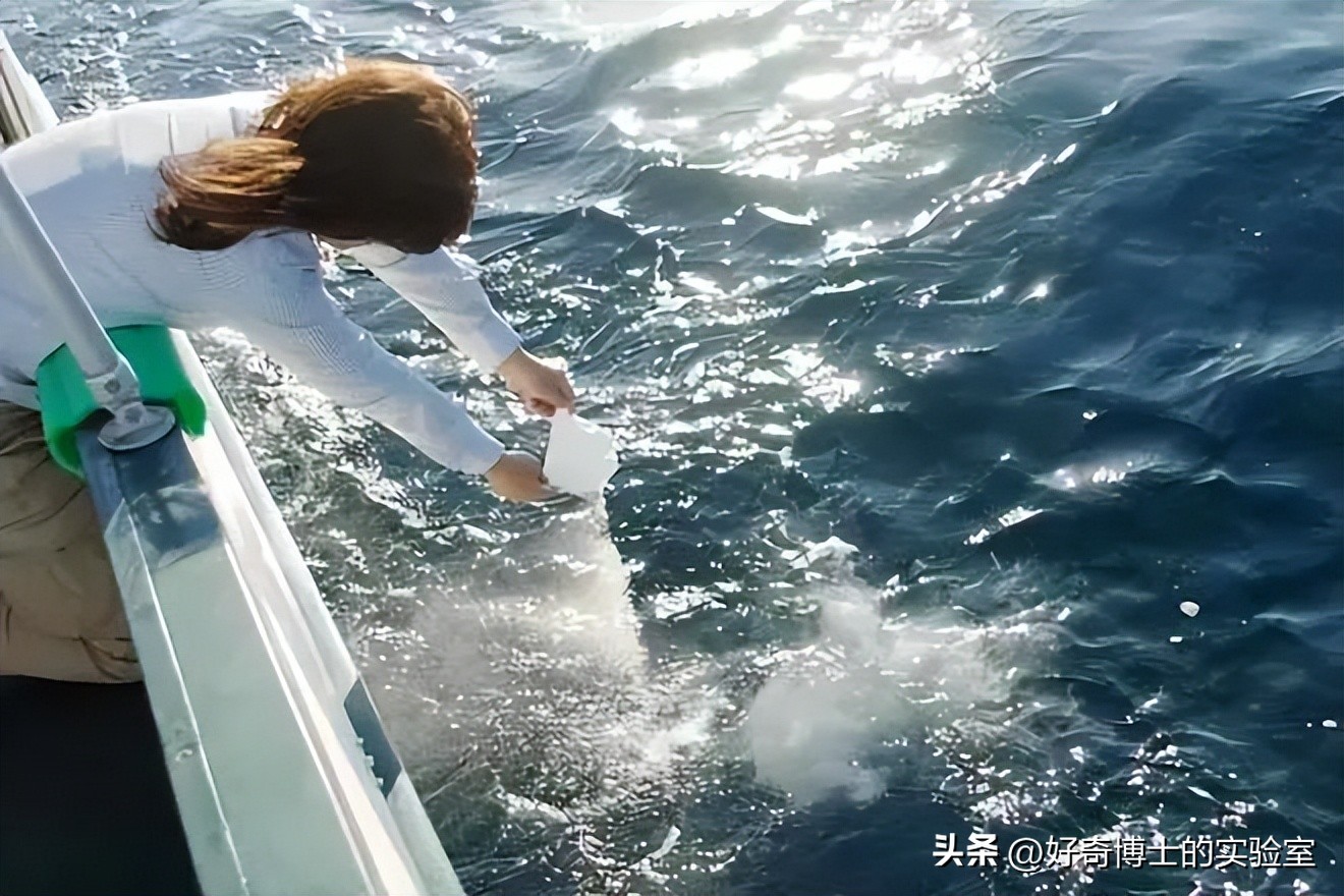 沉浸式体验出殡,详细观察遗体火化