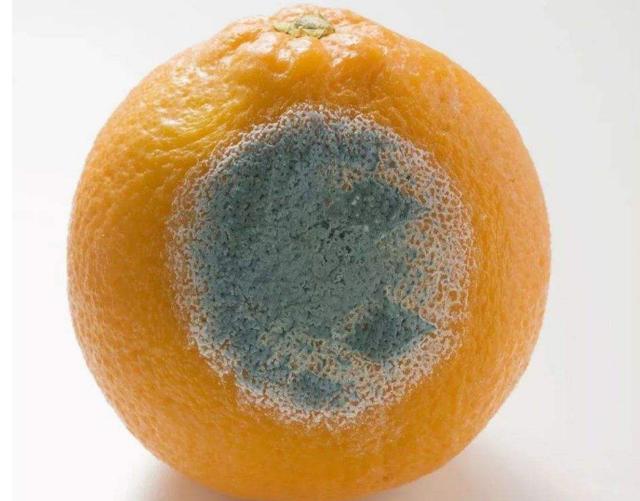 白血病患者吃什么水果比较好,小孩白血病最怕的三种水果