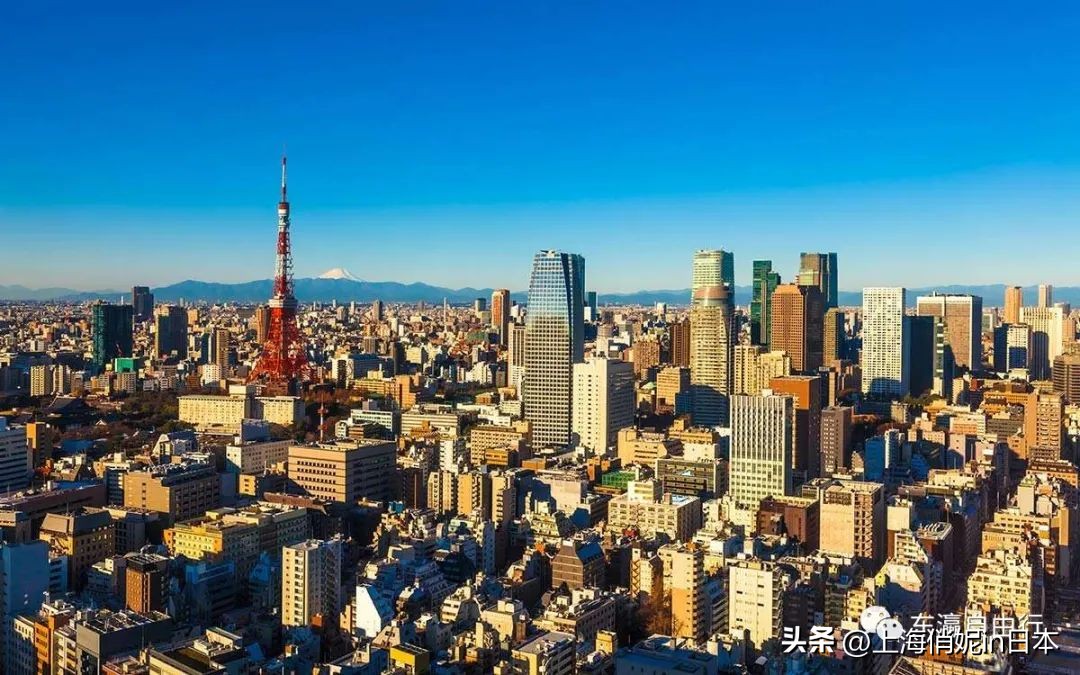 东京电车山手线,东京市内山手线