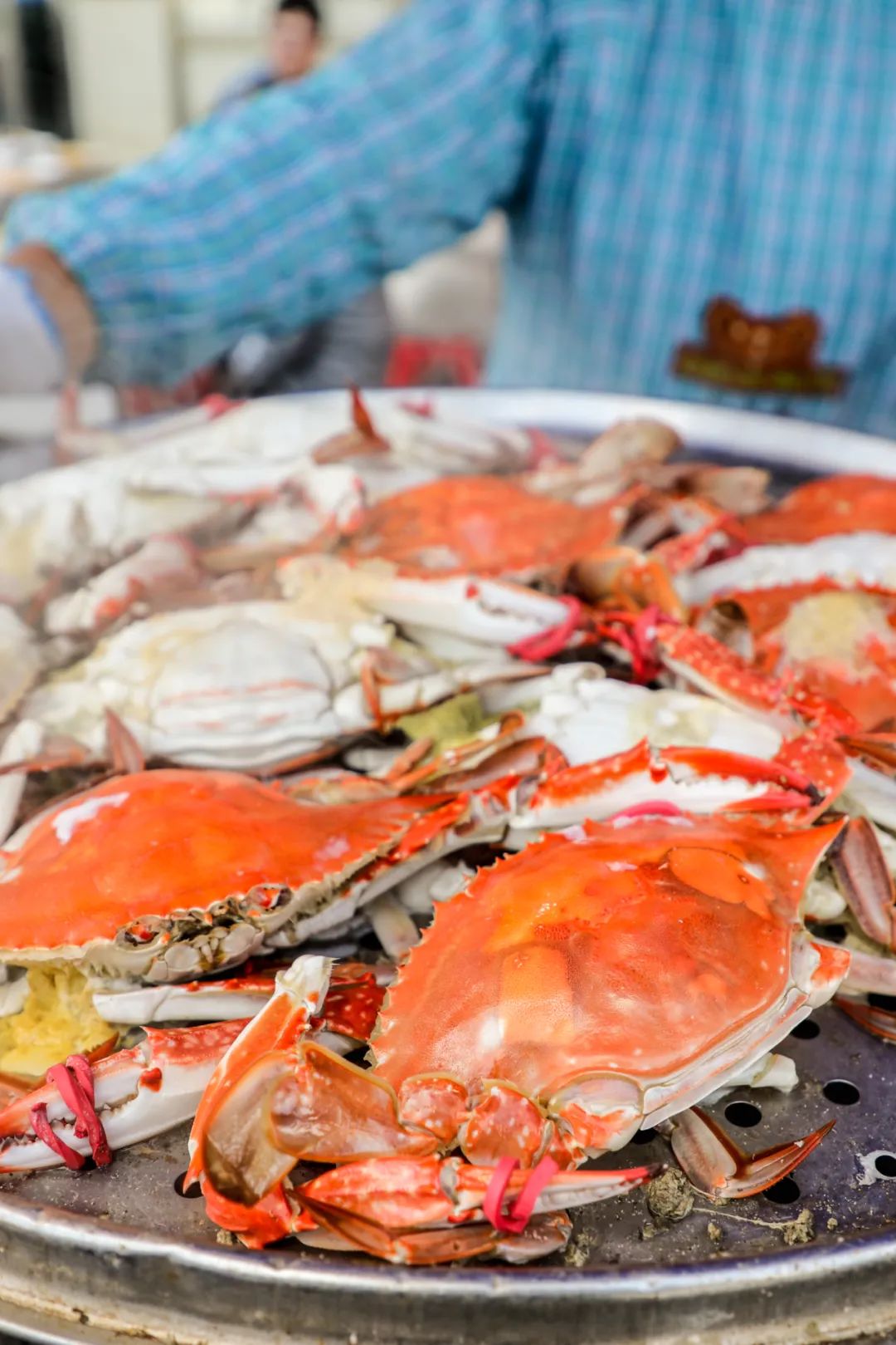在这座隐藏的海鲜大城，人均黄蚬子自由
