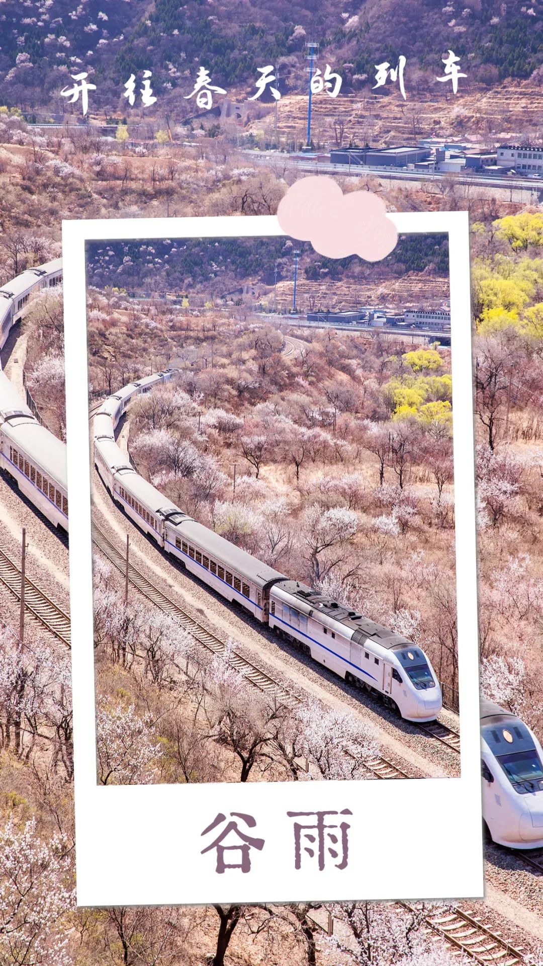 璋烽洦鏄ユ湯澶忓垵闆ㄧ敓鐧捐胺,鏄ユ湯澶忓垵闆ㄧ敓鐧捐胺