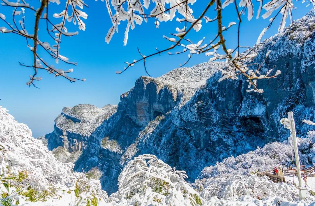 金佛山玩雪自驾攻略,去金佛山看雪怎么玩