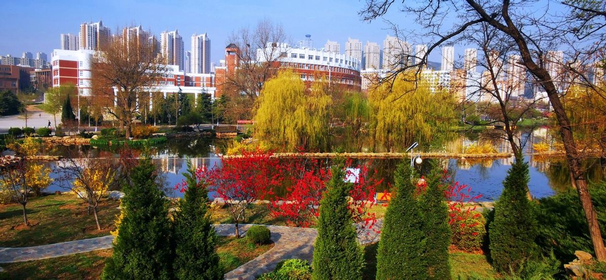 择校大学211985,东北育才学校2023高考