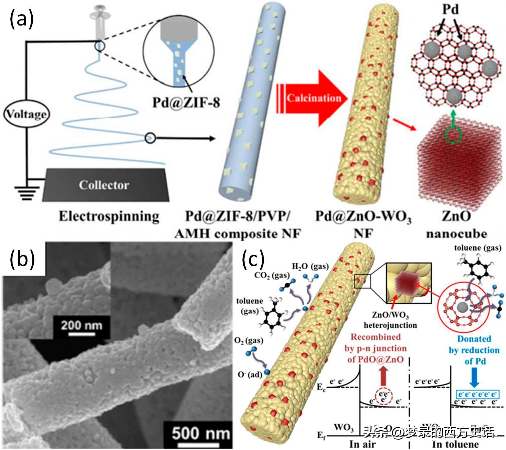 纤维和结晶纳米纤维素对醋酸纤维素膜的增强作用