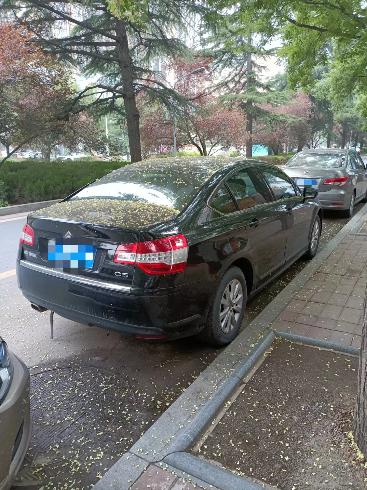 性价比最高二手法系车排行,最具性价比的二手老车品牌