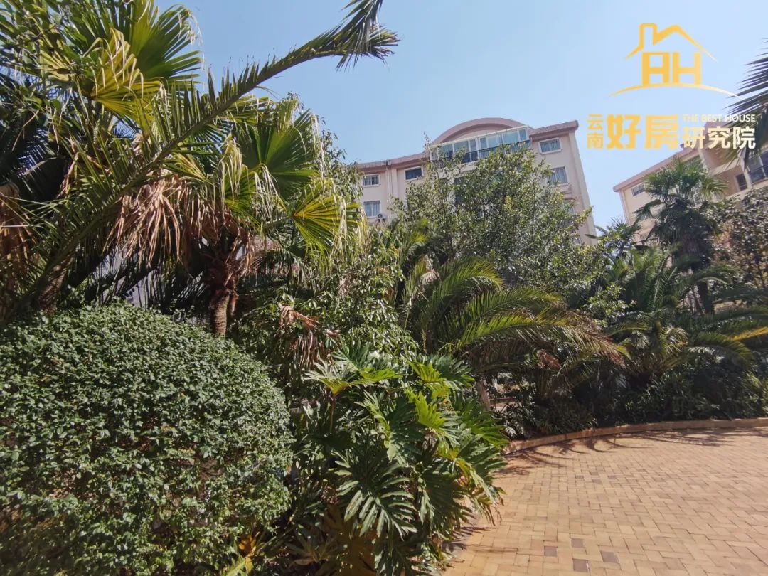 高新一小附近二手房急售,高新一小学位房有哪些楼盘