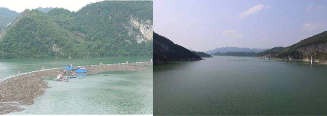 野生动物保护公益诉讼典型案例,检察院助力生态环境保护公益诉讼