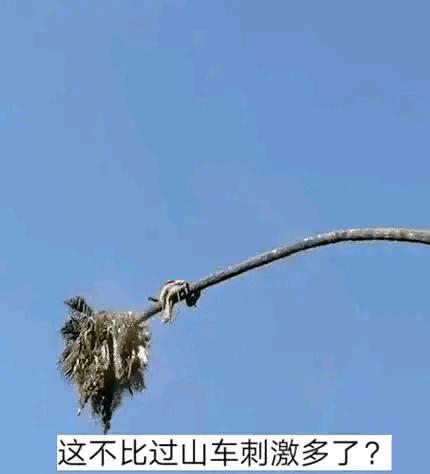 生物老师是女的,生物老师是个女的