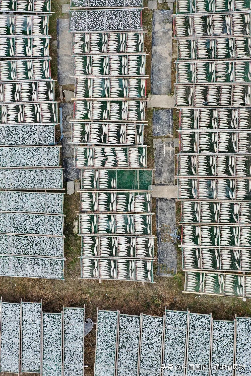 咸鱼最火地图,闲鱼攻略图