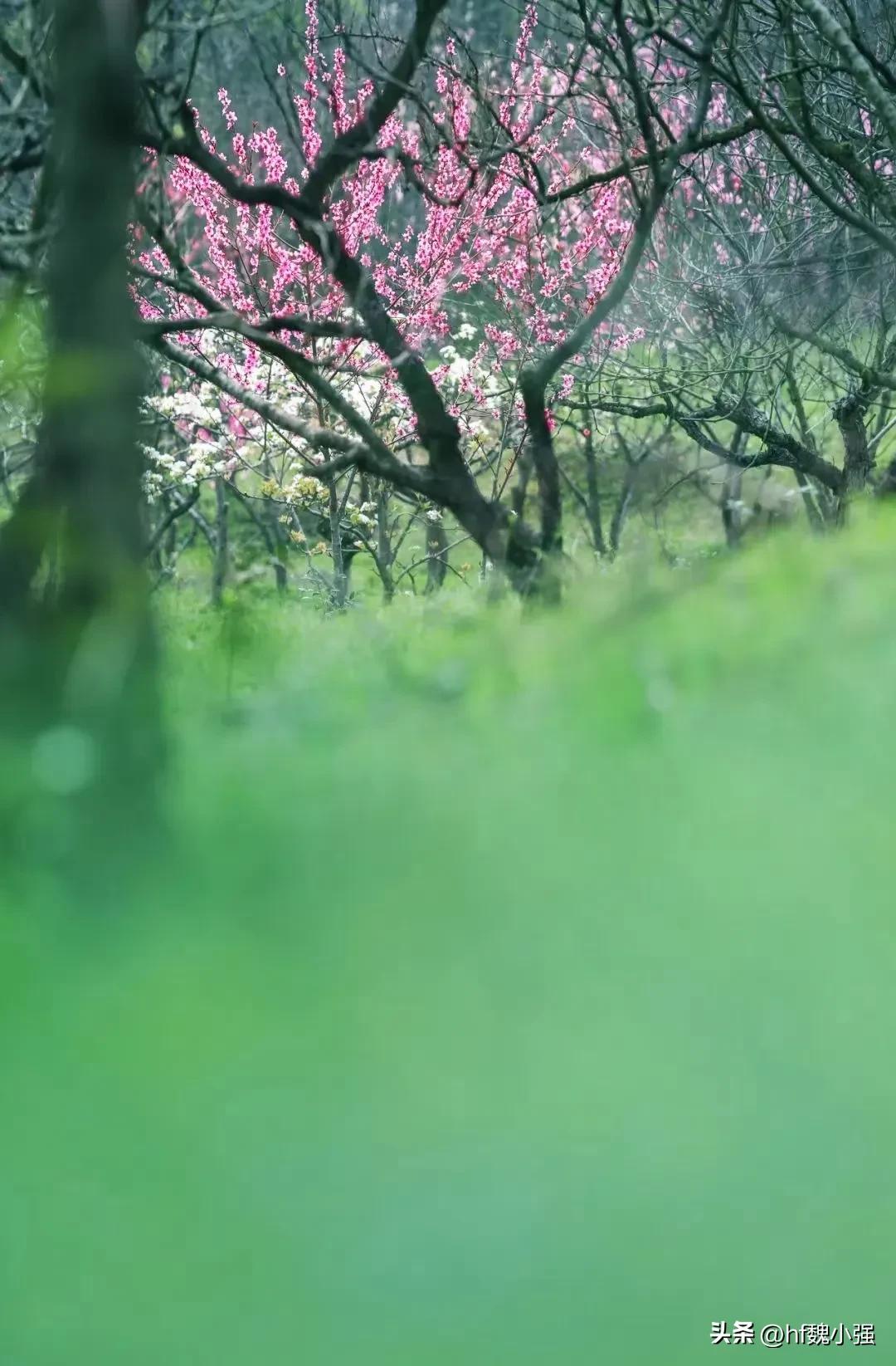 混在合肥大都市的日子（58）：长期坚持骑行运动，使他获得新生