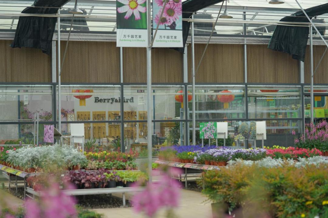 实体零售业“寒冬”过后，2023花园中心的新机会在哪里？