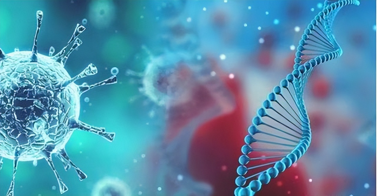 世卫组织对武汉新冠病毒调查结果,世卫组织宣布新冠病毒世界大流行