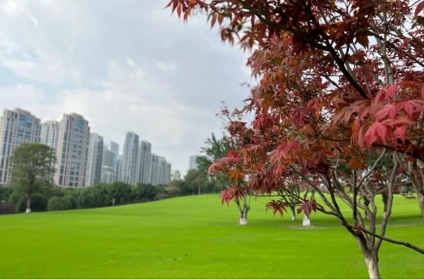 重庆中央公园建设历程,重庆中央公园保亿价格