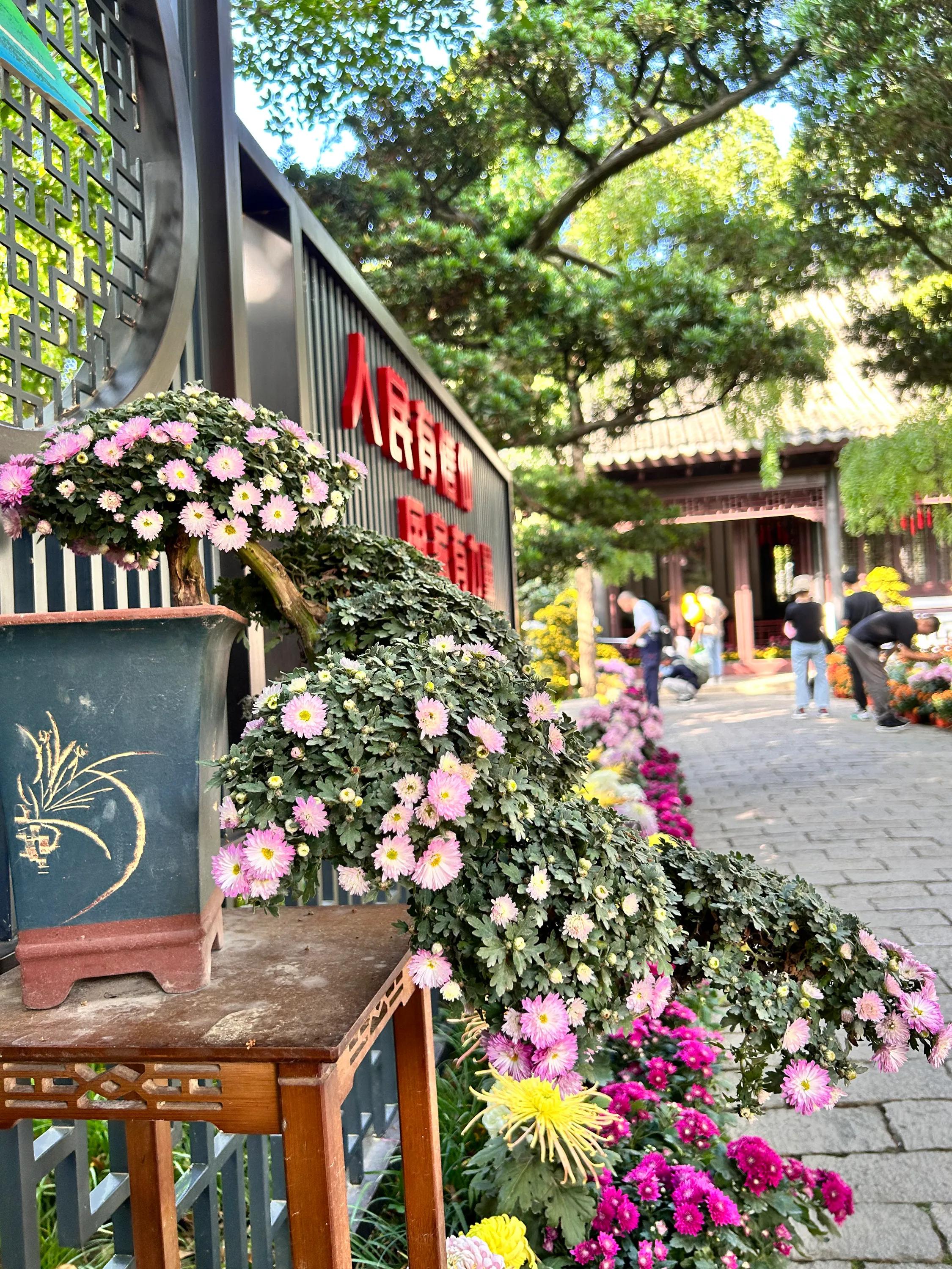 青浦古典园林图片,曲水园上海五大古园林之一