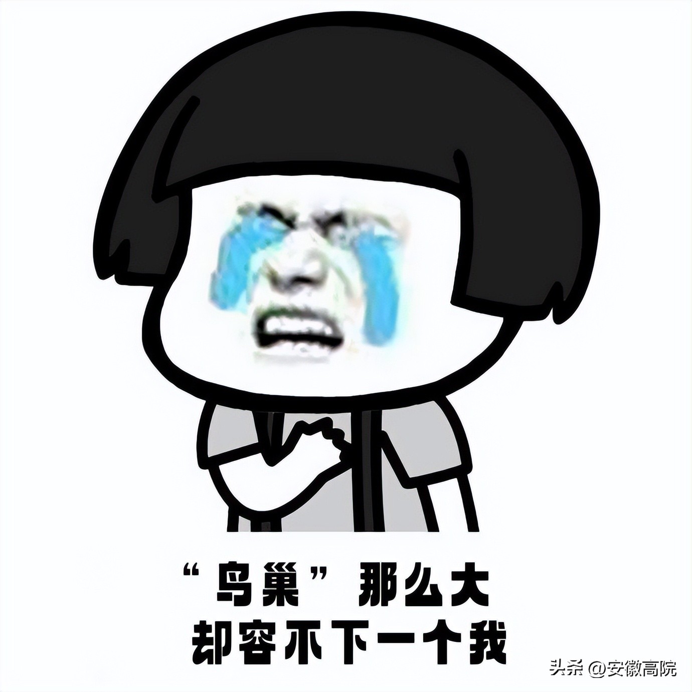 粉丝退钱的方法,粉丝退款100多万