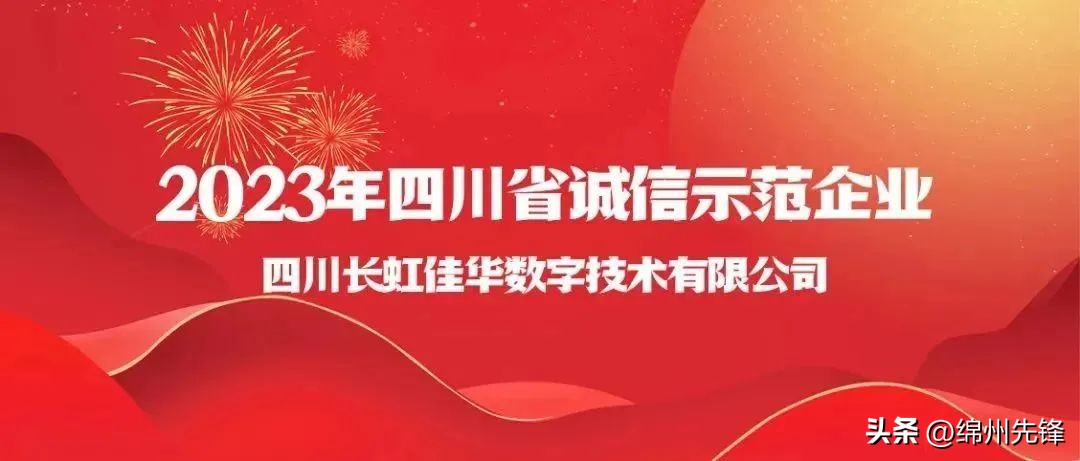 长虹佳华简介,四川长虹佳华销售好干吗