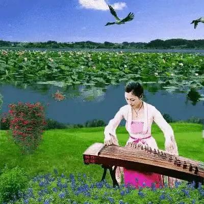 网络购物与传统购物对话,网络购物与现实差距