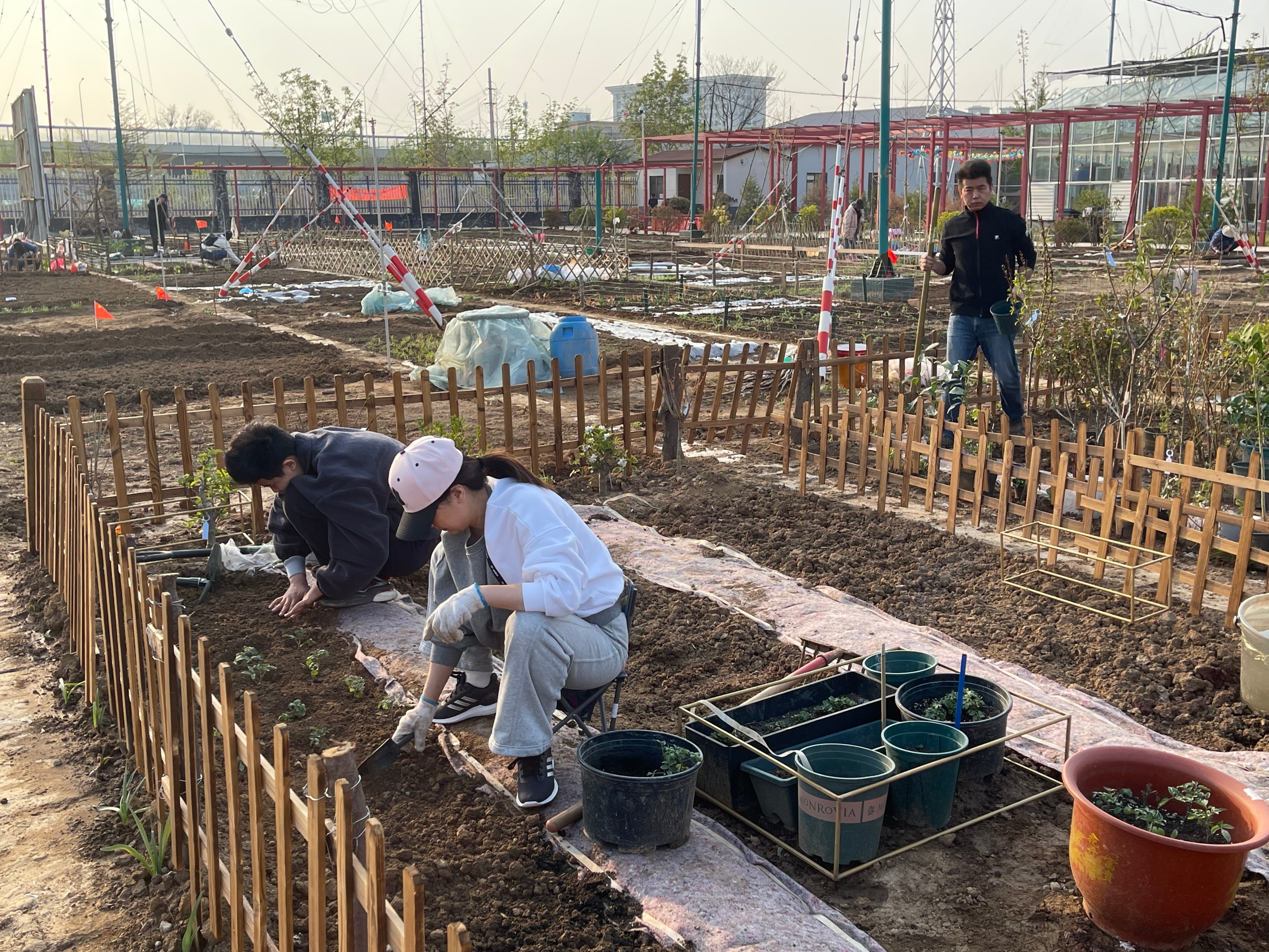 赏花、购花、娱乐，市民自家的小菜园，玉合赢花园中心挺棒