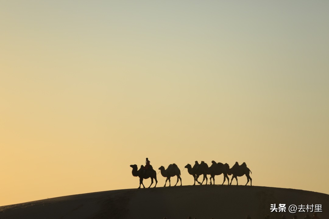 内蒙古10条旅游精品线路,内蒙古乡村旅游精品线路通辽市