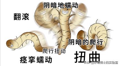 在家里发现小黑颗粒是虫卵吗,墙上有虫卵很小颗粒