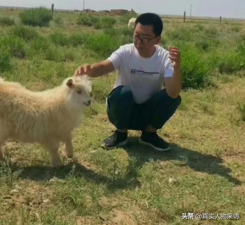 90后回家创业养羊卖羊肉,农村小伙为了创业养羊下血本买羊