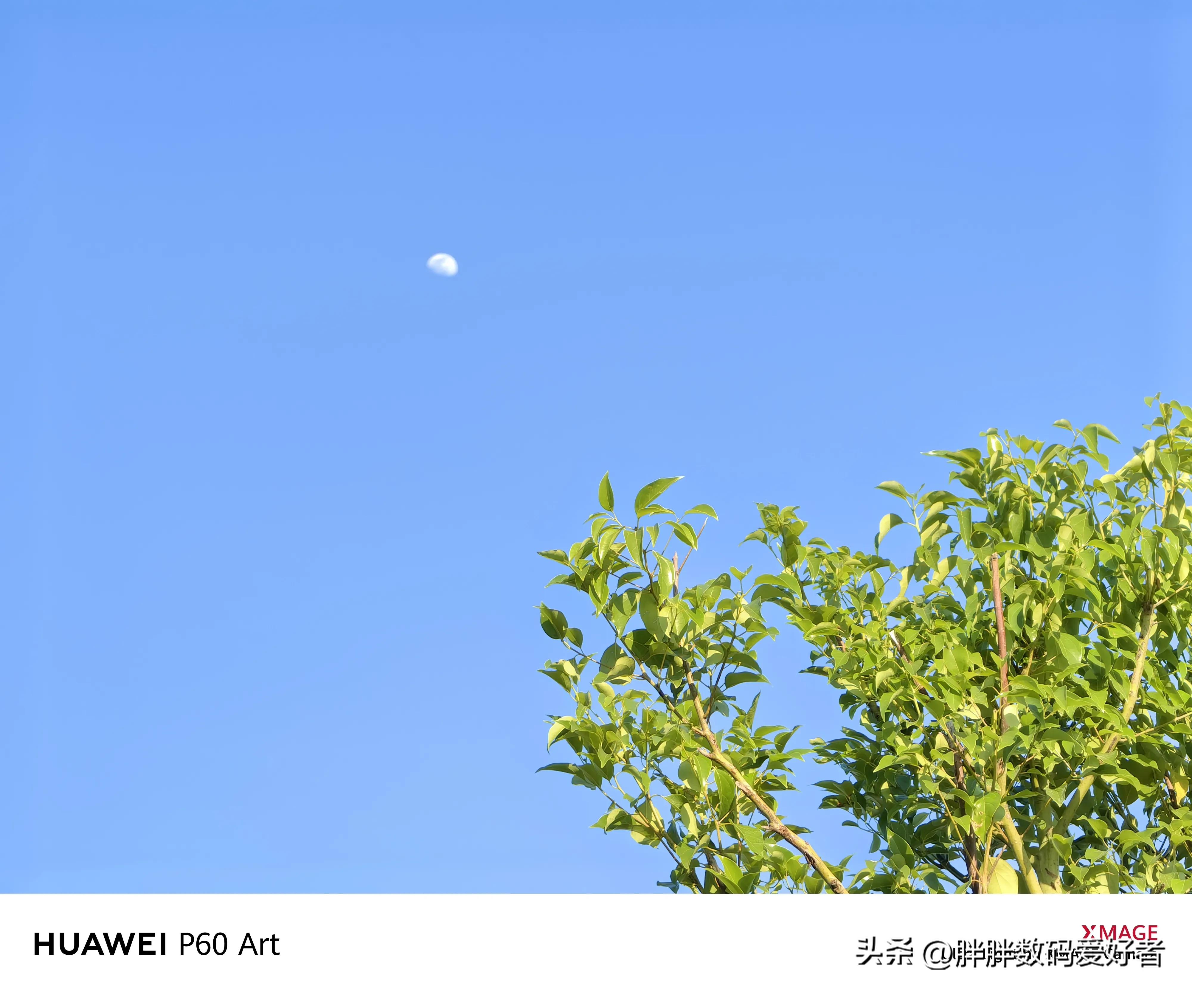 华为P60Art深度评测,华为p60art缺点及不足