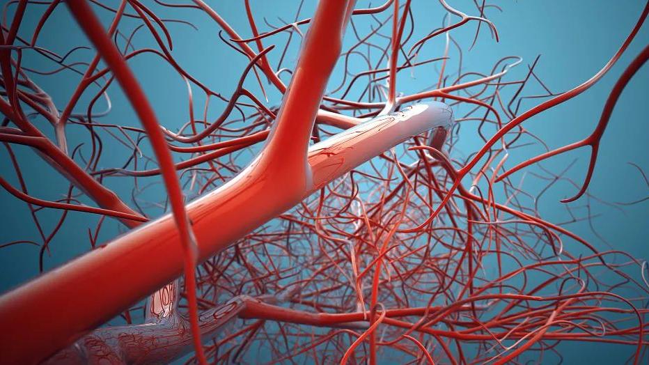 肾病引起高血压怎么治,肾病导致的高血压怎么办