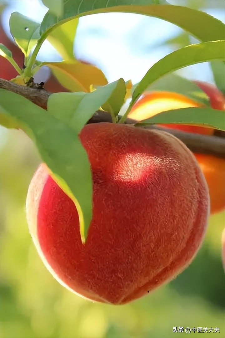 为什么胰腺炎要多餐,胰腺炎为啥吃糖