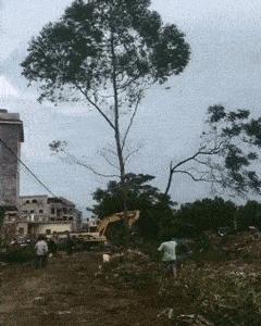 这是我见过最牛的一字马,这是史上最强的一字马无人敢挑战