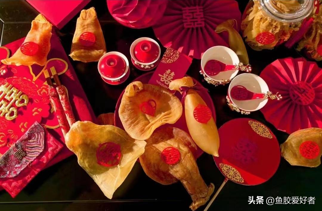 科普鱼胶赤嘴种类大全,关于鱼胶的知识讲座视频