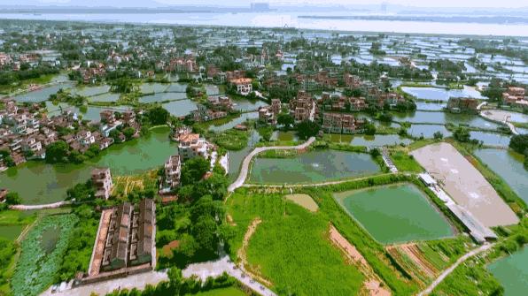 鹤山古劳水乡自由行,鹤山自由行攻略