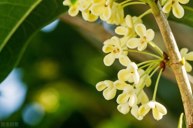 清可绝尘,清可绝尘浓能远溢什么意思